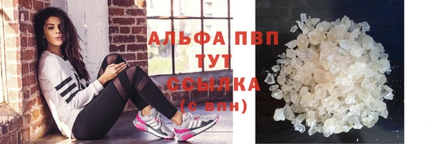 спиды Абаза