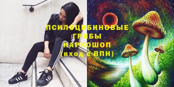 apvp Рославль