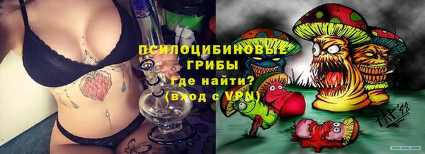 спиды Абаза