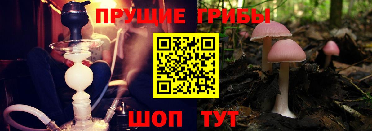 Галлюциногенные грибы мицелий Белая Калитва